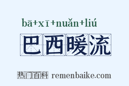 巴西暖流是什么意思的图片